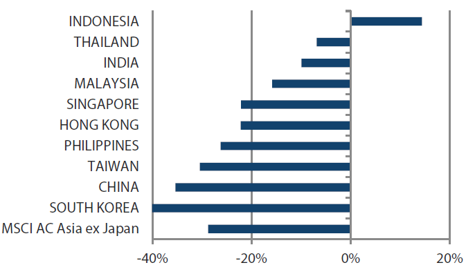 MSCI AC Asia ex Japan Index year