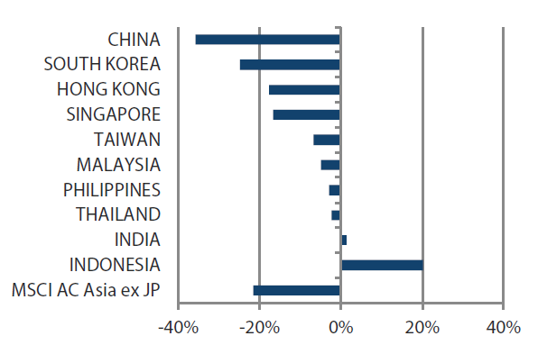 MSCI AC Asia ex Japan Index year