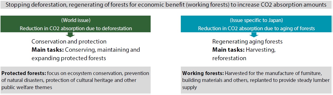 forestsStopping deforestation, regenerating of forests for economic benefit