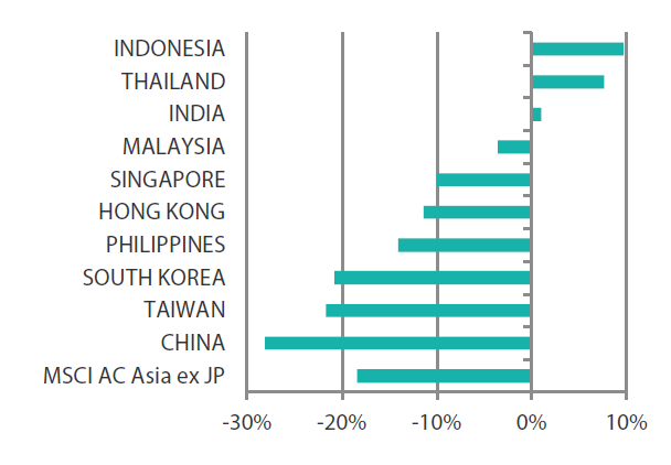 MSCI AC Asia ex Japan Index year