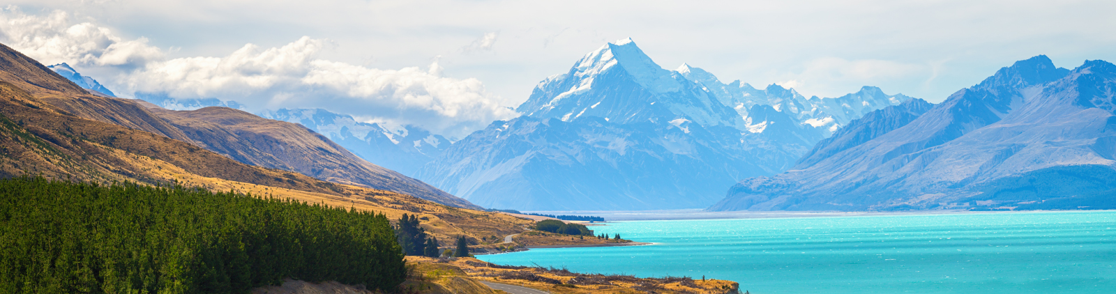 Nikko AM New Zealand Equity Nikko AM New Zealand Equity